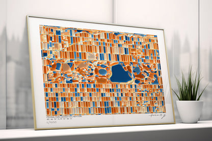 Tirage d’art de la carte abstraite de Central Park à Manhattan, New York, posé contre une fenêtre sur un rebord clair, à côté d’une petite plante. Abstract cartographic art print of Central Park, Manhattan, New York, leaning against a window on a light sill next to a small plant.